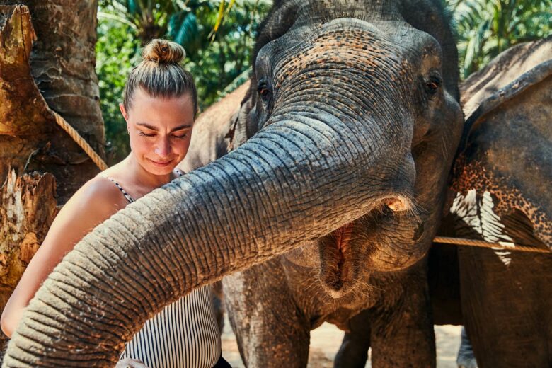 Lista de Animales Salvajes más Amigables del Mundo