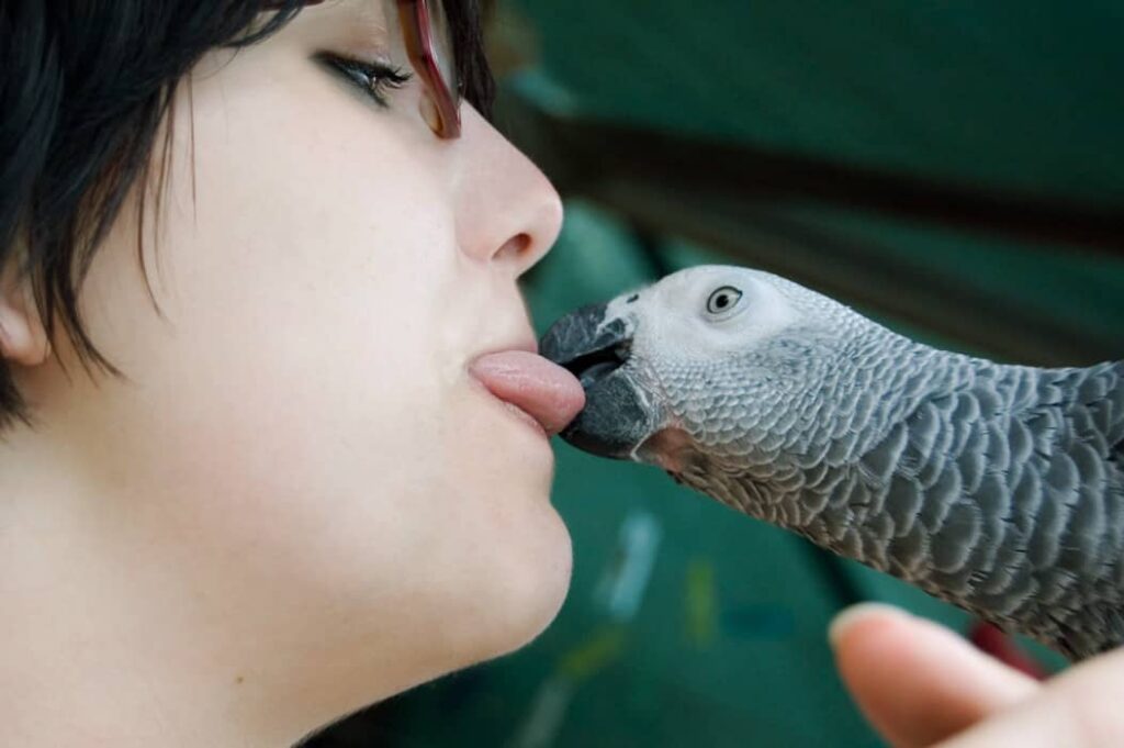 Mujer joven con un loro gris