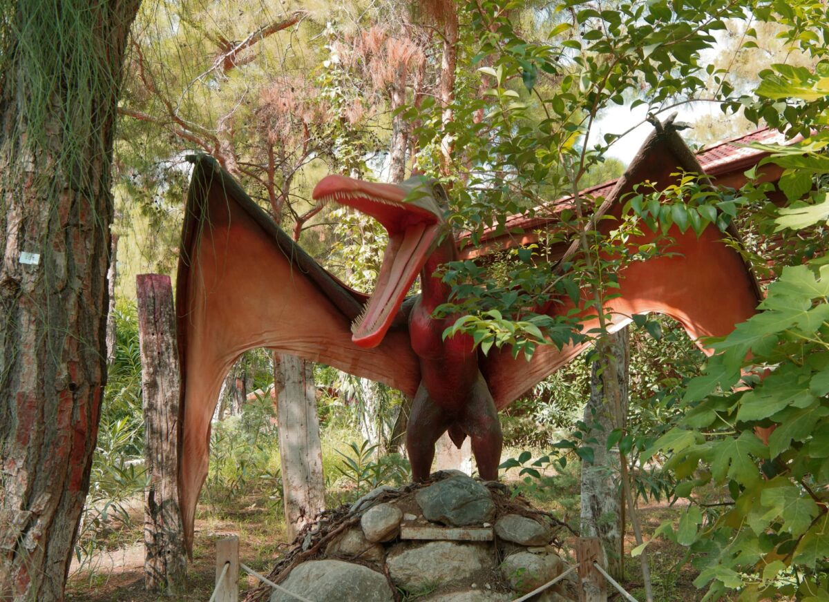 Pterodáctilo Características y Curiosidades