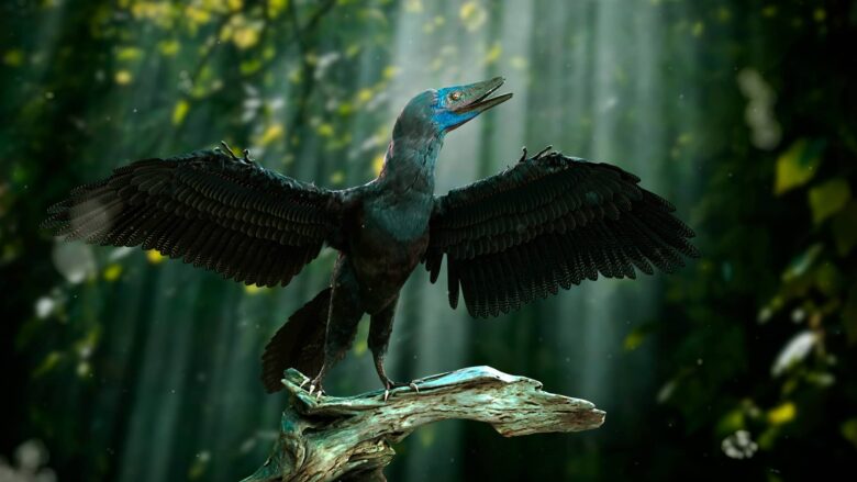 Archaeopteryx Características y Datos Históricos