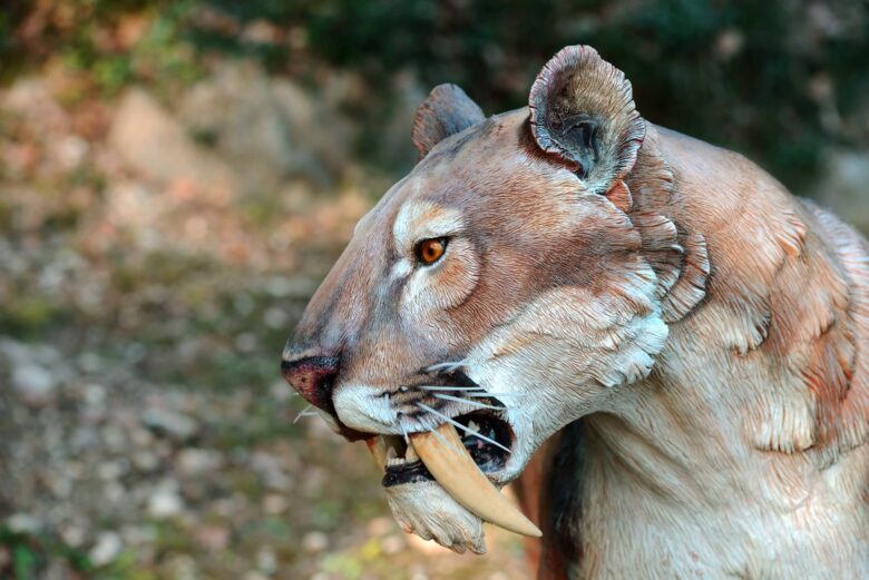 Smilodon o Tigre de dientes de sable salvaje